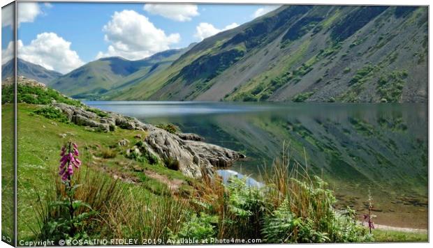 "Foxglove and reflections at Wastwater 2" Canvas Print by ROS RIDLEY