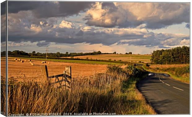 "Evening light Fishburn County Durham" Canvas Print by ROS RIDLEY