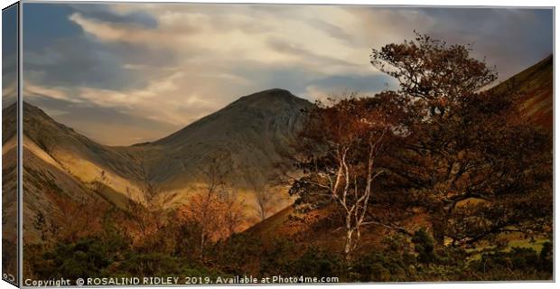 "Autumn trees and Great Gable" Canvas Print by ROS RIDLEY