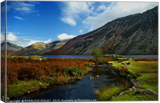 "Autumn evening colours at Wastwater" Canvas Print by ROS RIDLEY