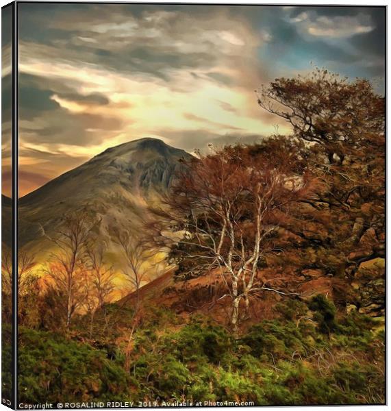 "Trees at Great Gable" Canvas Print by ROS RIDLEY
