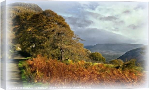 "Sunshine and mist over Wasdale" Canvas Print by ROS RIDLEY