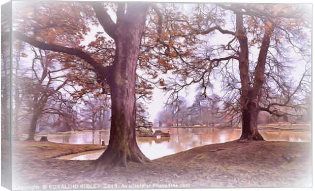 "Trees by a misty Autumn lake " Canvas Print by ROS RIDLEY