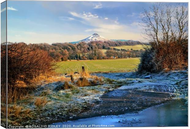 "Snowcapped Roseberry" Canvas Print by ROS RIDLEY