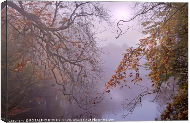 "Aujtumn leaves by a foggy lake" Canvas Print by ROS RIDLEY