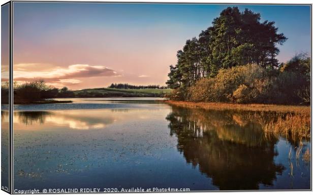 "Evening reflections at Lindean Loch Nature reserv Canvas Print by ROS RIDLEY