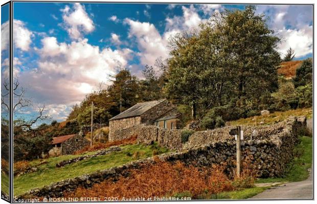 "Breezy day in Wasdale" Canvas Print by ROS RIDLEY