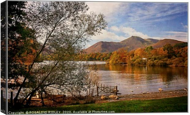 "trees by a breezy lake " Canvas Print by ROS RIDLEY