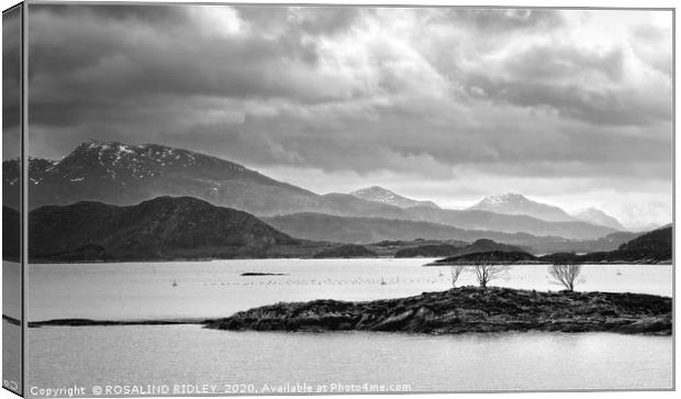 "Heading for Trondheim" Canvas Print by ROS RIDLEY