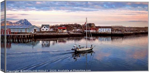 " Sailing  into Lofoten sunset" Canvas Print by ROS RIDLEY