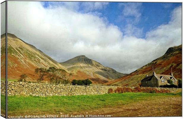 "A stroll by the mountains " Canvas Print by ROS RIDLEY