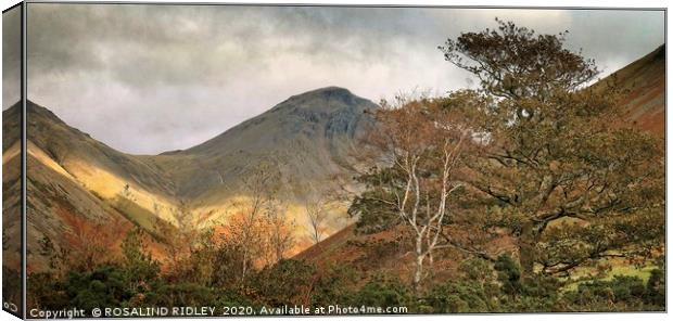 " Autumn Trees at Great Gable 3" Canvas Print by ROS RIDLEY