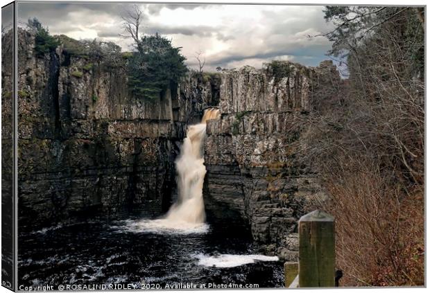 "High Force" Canvas Print by ROS RIDLEY
