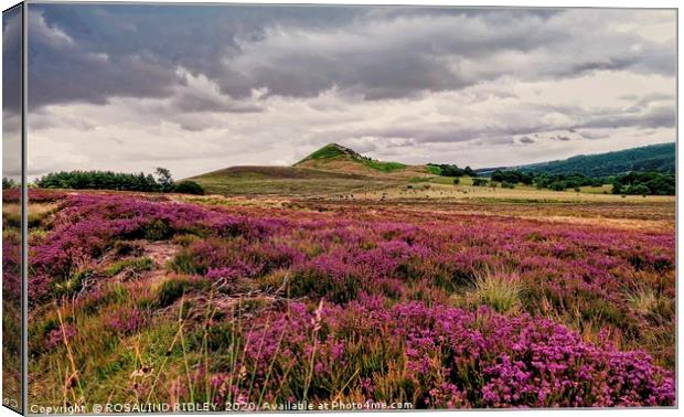 "Threatening clouds over the North York moors" Canvas Print by ROS RIDLEY