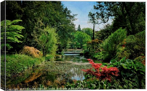 "Thorp Perrow in bloom" Canvas Print by ROS RIDLEY