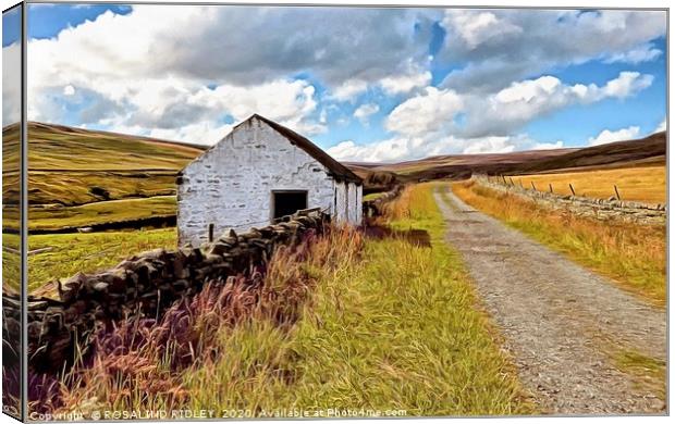 "A country lane in Teesdale" Canvas Print by ROS RIDLEY