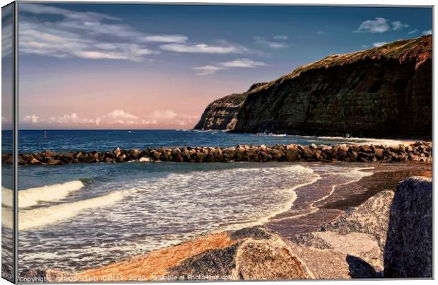 "Skinningrove golden hour" Canvas Print by ROS RIDLEY