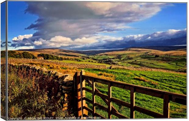 "Over the gate" Canvas Print by ROS RIDLEY