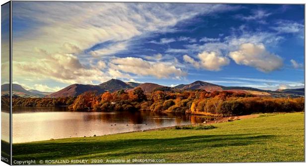 "Autumn at Catbells ridge 2 " Canvas Print by ROS RIDLEY