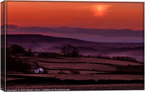 "Misty sunrise at Whitbarrow" Canvas Print by ROS RIDLEY
