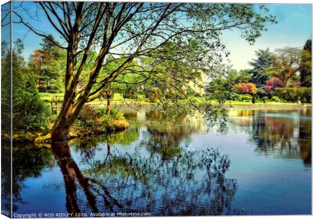 Thorp Perrow Lake reflections Canvas Print by ROS RIDLEY