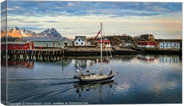 Sailing in Svolvaer Norway Canvas Print by ROS RIDLEY