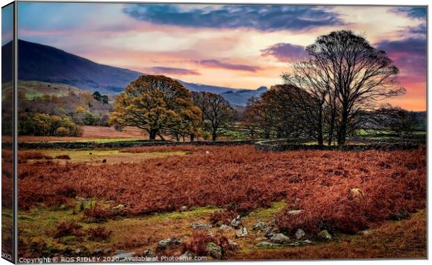 Wasdale Late Autumn  Canvas Print by ROS RIDLEY