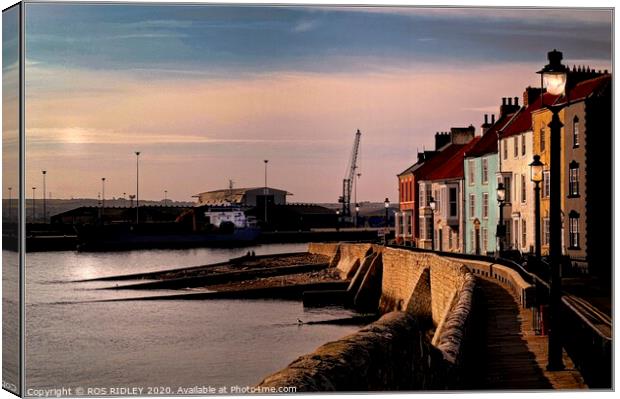The Houses of Hartlepool Headland Canvas Print by ROS RIDLEY