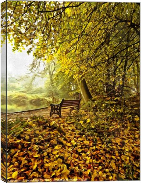 Seat in a foggy wood Canvas Print by ROS RIDLEY