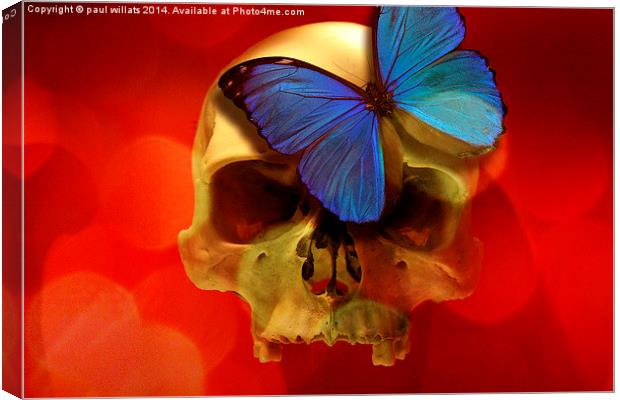  SKULL AND BUTTERFLY Canvas Print by paul willats