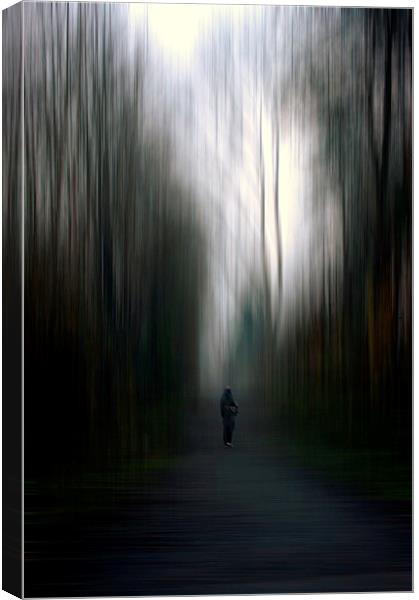  The path less travelled Canvas Print by Robin Marks