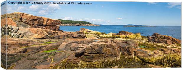  Acadia Rocks Canvas Print by Ian Danbury