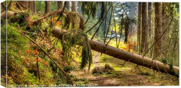 Road Block  Canvas Print by Ian Danbury