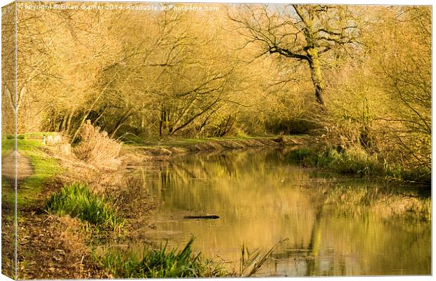  Golden Hour on the Grantham Canal Canvas Print by Brian Garner