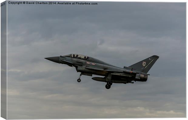  Typhoon Canvas Print by David Charlton