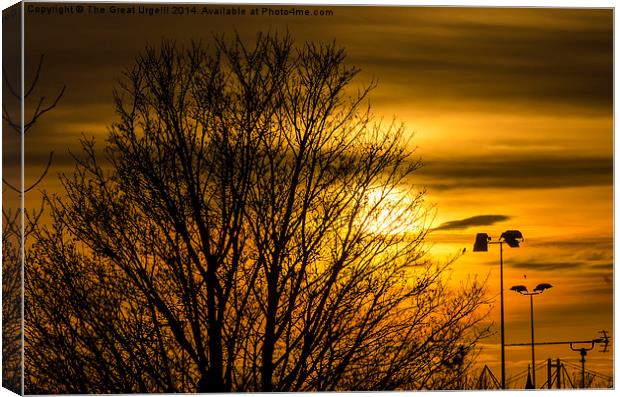  Sunset colour Canvas Print by David Charlton