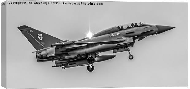 Eurofighter Typhoon Canvas Print by David Charlton