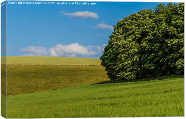  Serene and peacefull Canvas Print by David Charlton