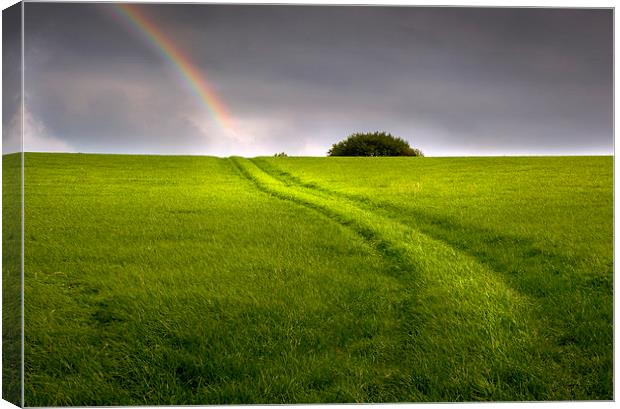  A track in a field leading to a rainbow Canvas Print by Mal Bray
