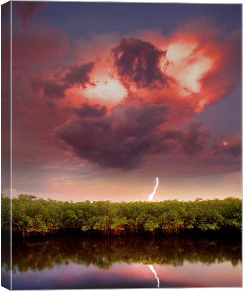  Mangrove Storm with lightning reflected. Canvas Print by Mal Bray
