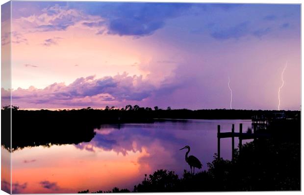  Two Lightning Strikes over the River Braden Canvas Print by Mal Bray