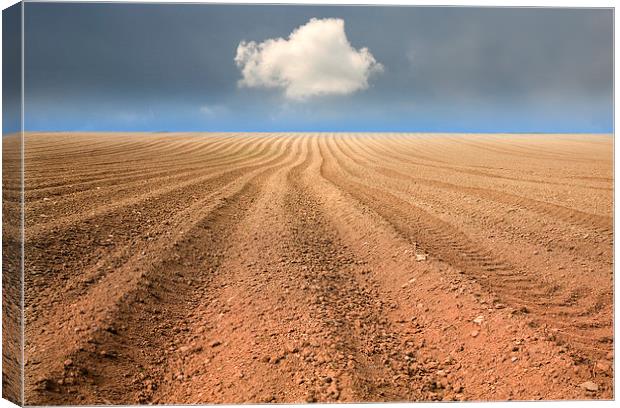  A Ploughed Field and a Cloud Canvas Print by Mal Bray