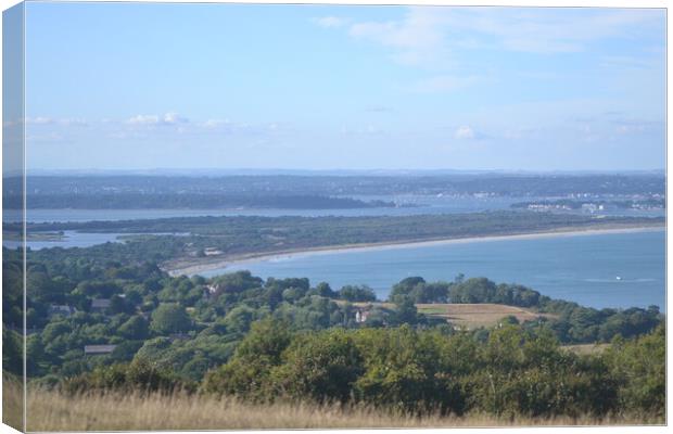 Studland Bay Canvas Print by John Bridge