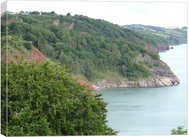 Coastal View from Babbacombe Downs  Canvas Print by John Bridge