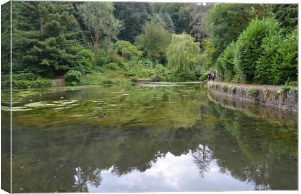 Cockington Lake Canvas Print by John Bridge