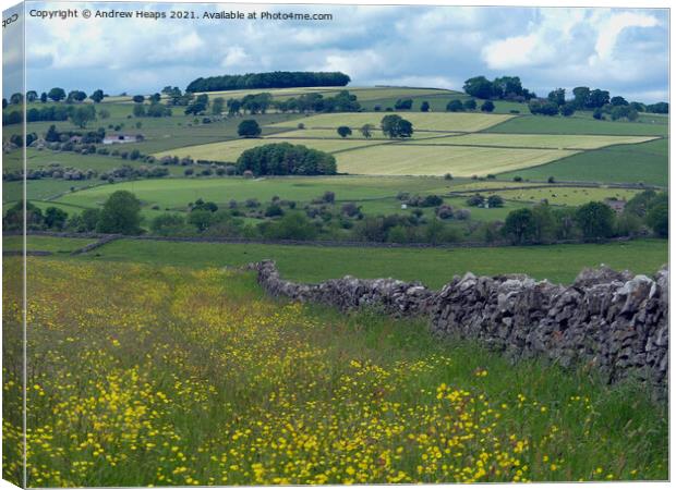 Rolling fields around Lathkill Dale Canvas Print by Andrew Heaps