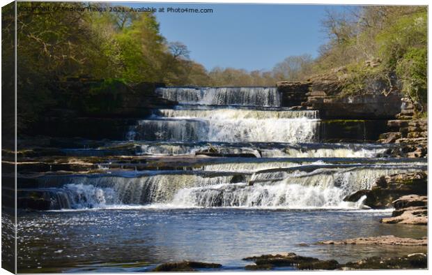 Aysgarth Falls cascading water. Canvas Print by Andrew Heaps
