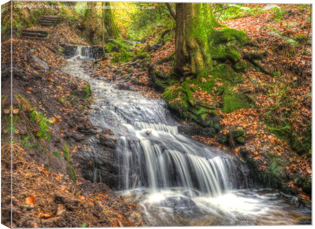 Autumnal waterfall in woodland. Canvas Print by Andrew Heaps