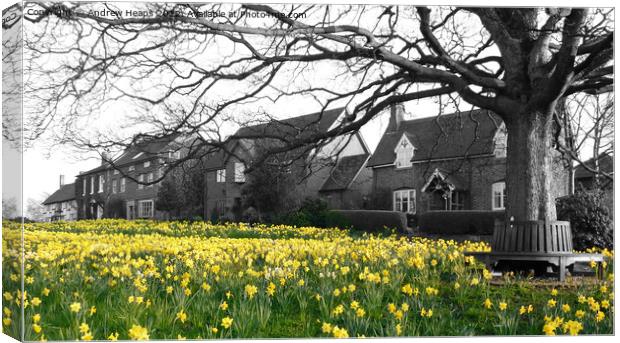 Blooming Beauty at Astbury Village Canvas Print by Andrew Heaps