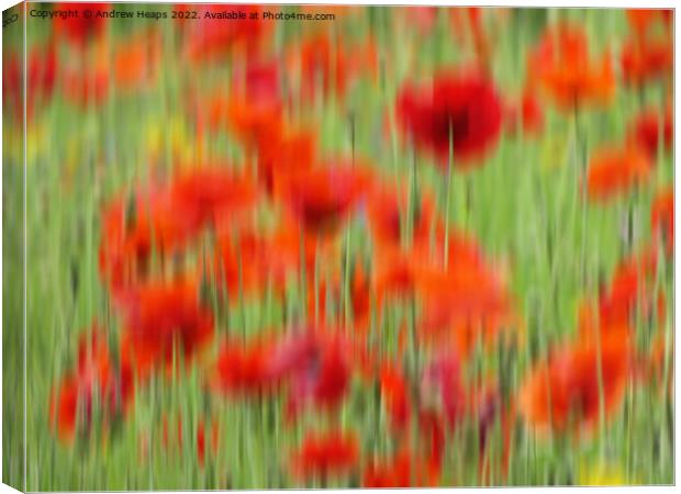 Vibrant Red Poppies in Motion Canvas Print by Andrew Heaps